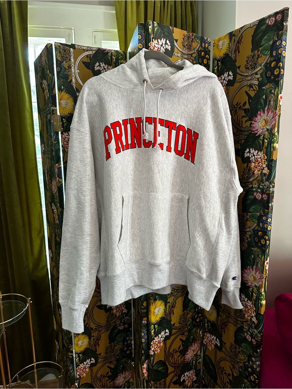 Champion Gray Hoodie with Orange Princeton Accent Lettering XL Reverse Weave